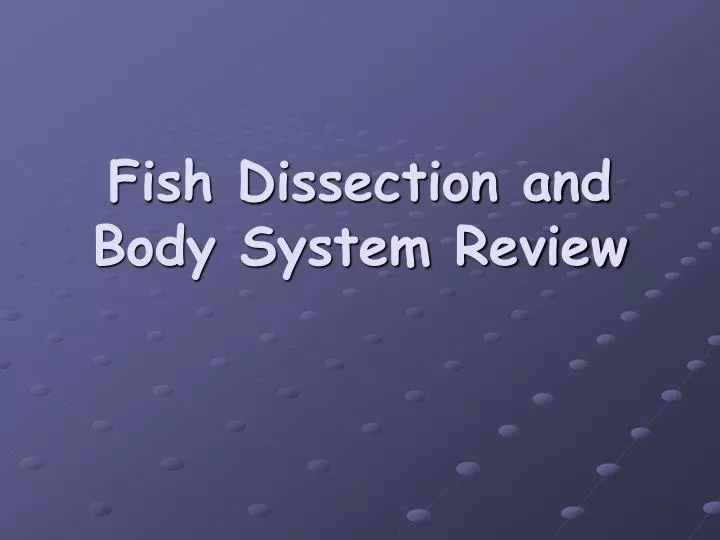 fish dissection and body system review