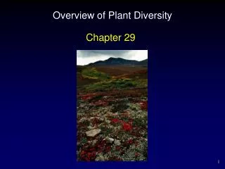 Overview of Plant Diversity