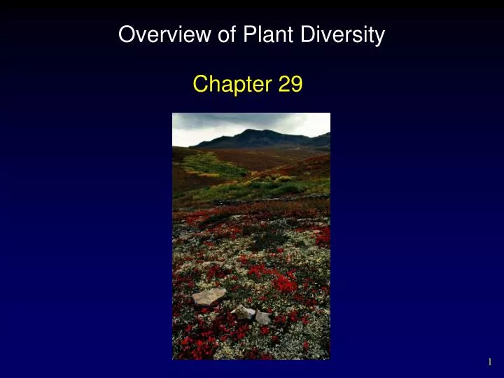 overview of plant diversity