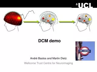 DCM demo