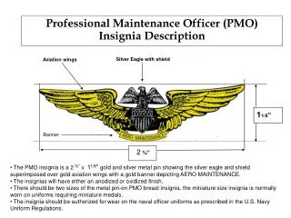 Professional Maintenance Officer (PMO) Insignia Description