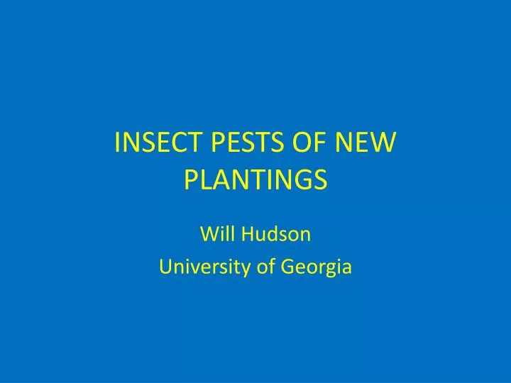 insect pests of new plantings