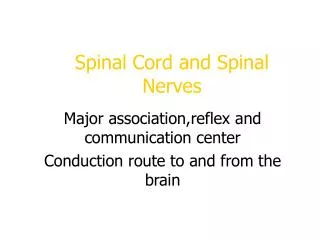 spinal cord and spinal nerves