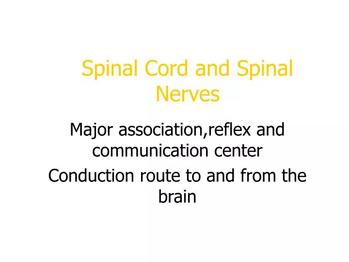 spinal cord and spinal nerves
