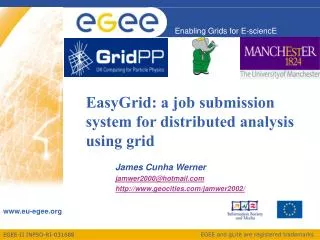 EasyGrid: a job submission system for distributed analysis using grid