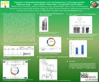 Emergence of Renewable Biohydrogen: Cell Line Engineering of Thermotoga maritima .