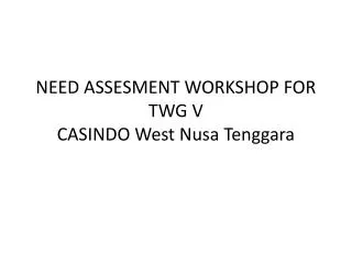 NEED ASSESMENT WORKSHOP FOR TWG V CASINDO West Nusa Tenggara