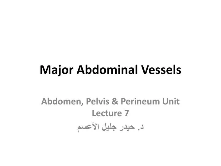 major abdominal vessels