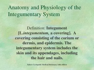 Anatomy and Physiology of the Integumentary System