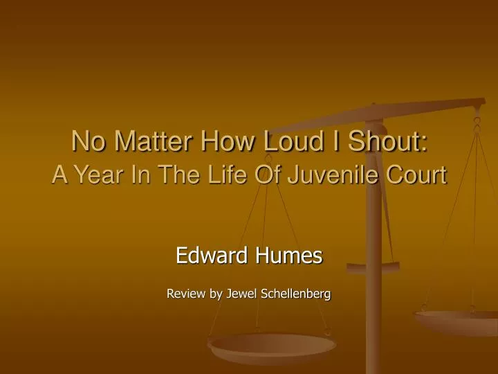 no matter how loud i shout a year in the life of juvenile court