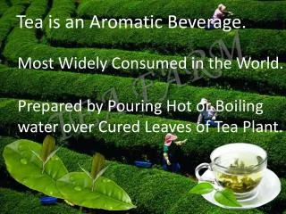 Tea is an Aromatic Beverage.