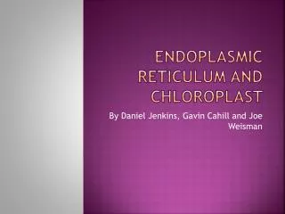 Endoplasmic Reticulum and Chloroplast