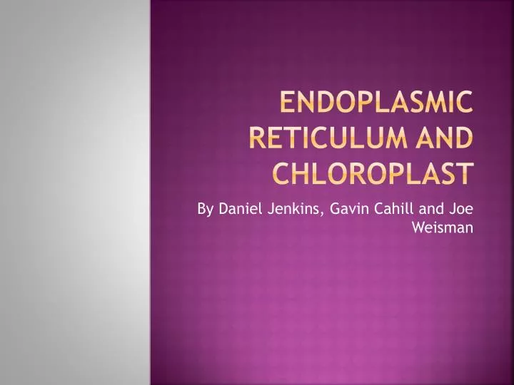 endoplasmic reticulum and chloroplast
