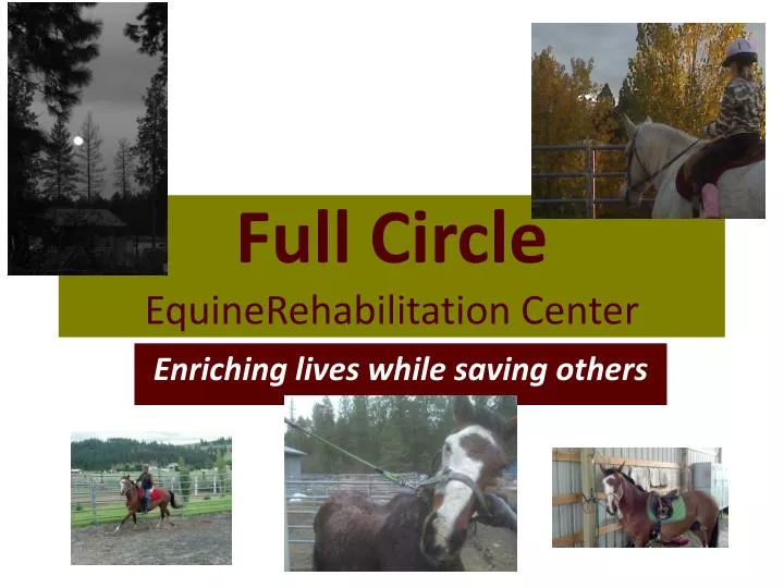 full circle equine rehabilitation center