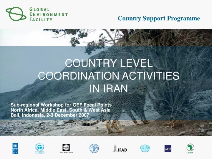 country level coordination activities in iran