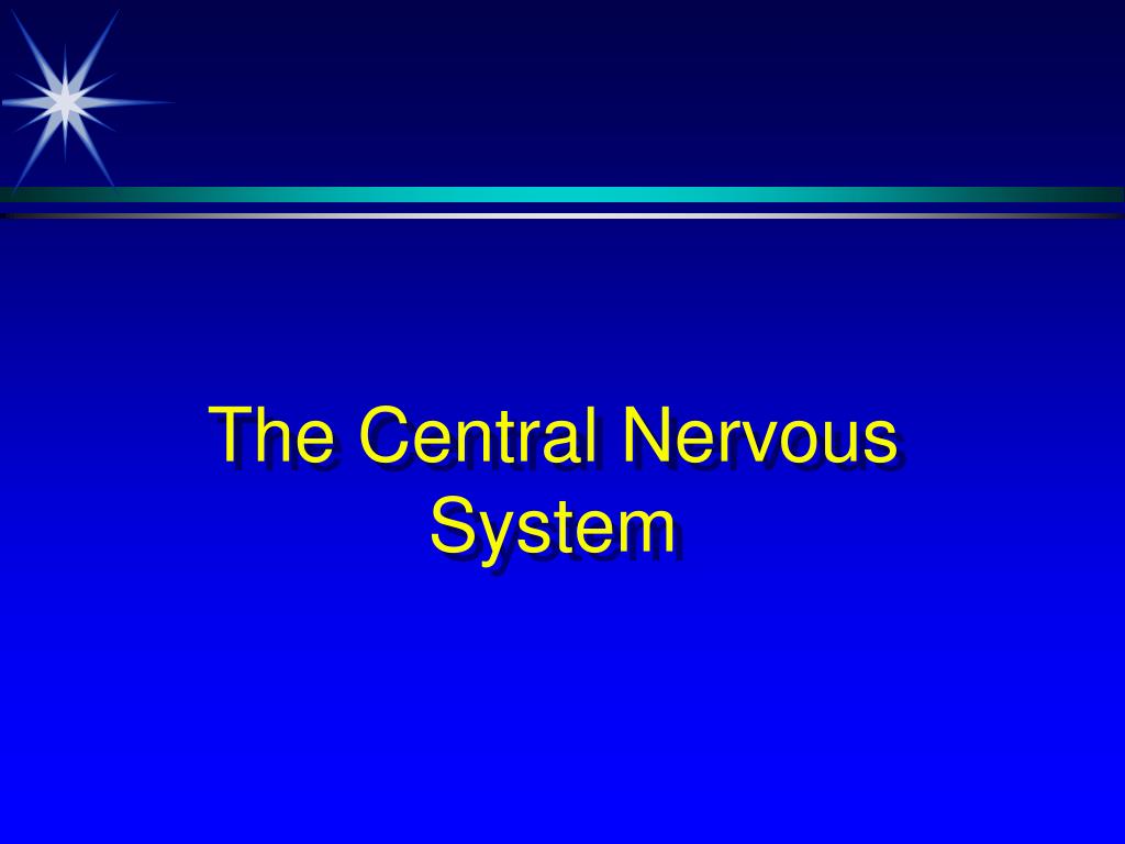 PPT - The Central Nervous System PowerPoint Presentation, free download ...