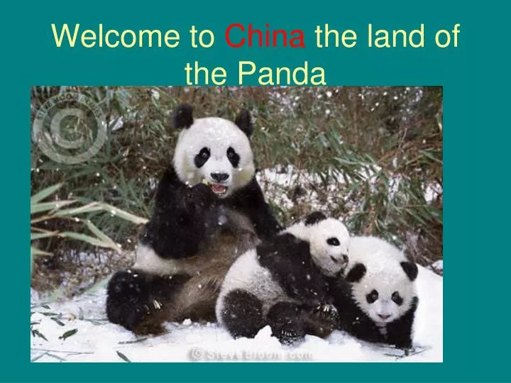 welcome to china the land of the panda