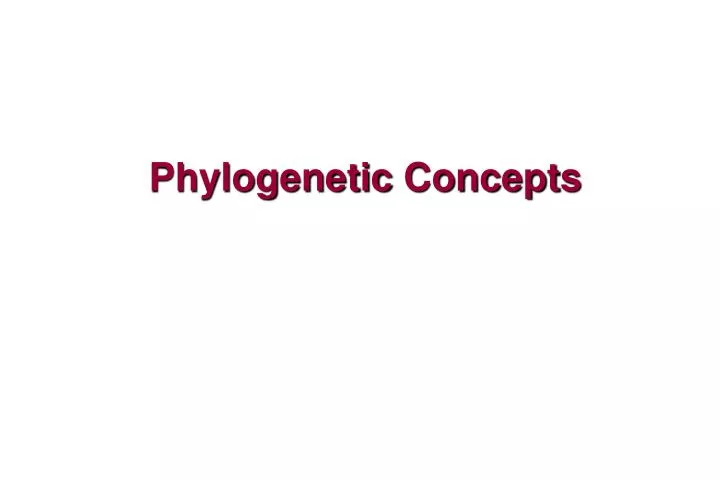 phylogenetic concepts