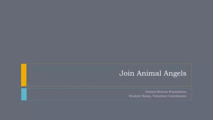 join animal angels