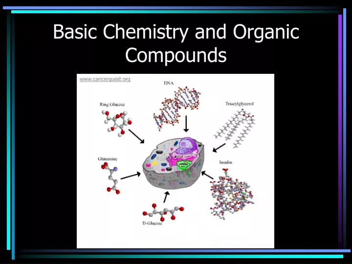 basic chemistry and organic compounds