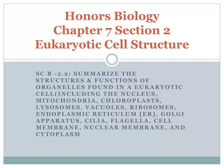 honors biology chapter 7 section 2 eukaryotic cell structure