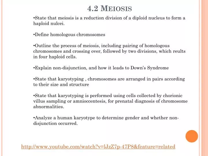 4 2 meiosis