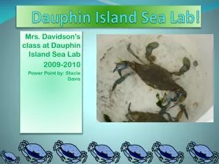 Dauphin Island Sea Lab!