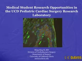 Medical Student Research Opportunities in the UCD Pediatric Cardiac Surgery Research Laboratory