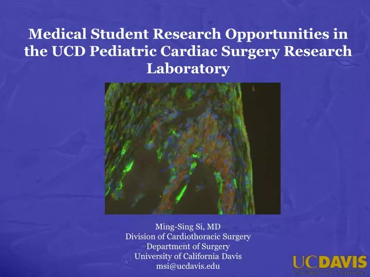 medical student research opportunities in the ucd pediatric cardiac surgery research laboratory