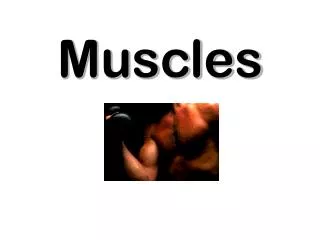 Muscles