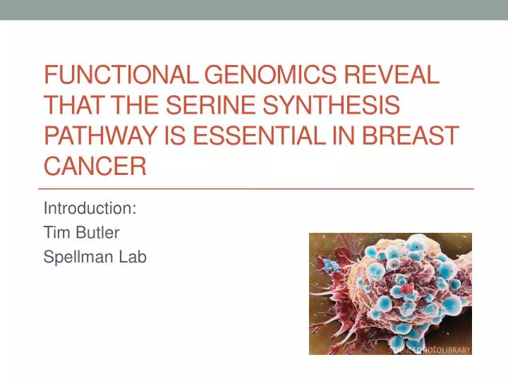 functional genomics reveal that the serine synthesis pathway is essential in breast cancer