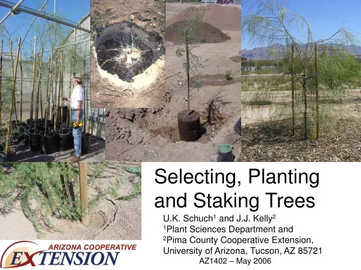 selecting planting and staking trees