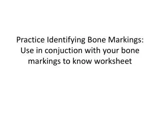 Practice Identifying Bone Markings: Use in conjuction with your bone markings to know worksheet