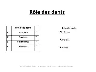 r le des dents