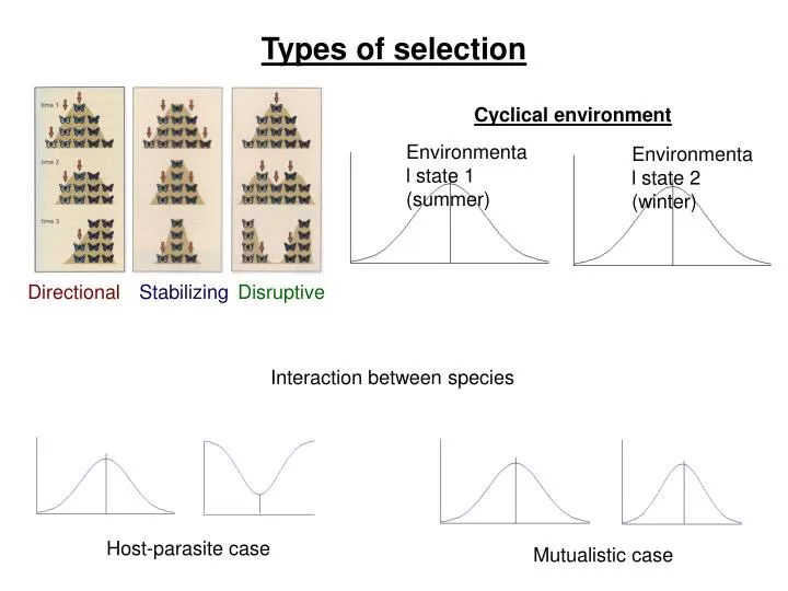 types of selection