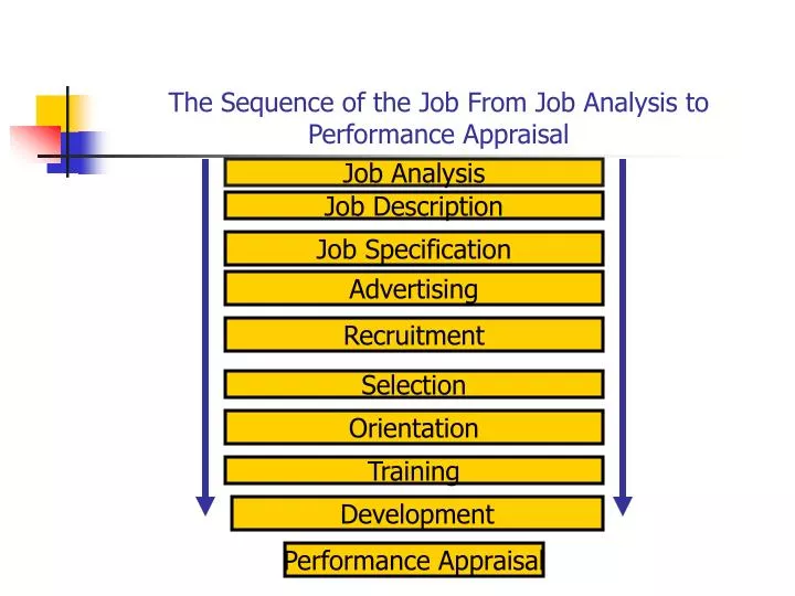 the sequence of the job from job analysis to performance appraisal
