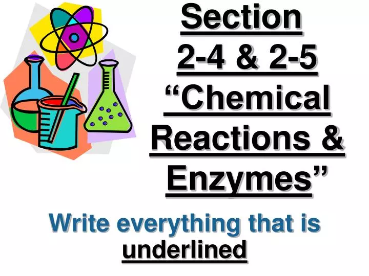 section 2 4 2 5 chemical reactions enzymes
