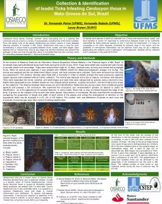 Collection &amp; Identification of Ixodid Ticks Infesting Cerdocyon thous in Mato Grosso do Sul , Brazil