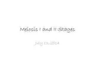Meiosis I and II Stages