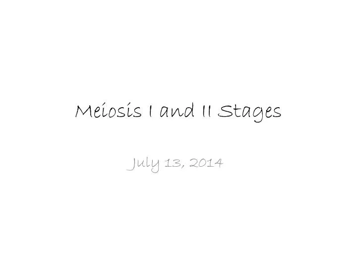 meiosis i and ii stages