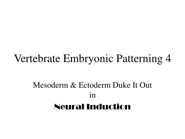 vertebrate embryonic patterning 4