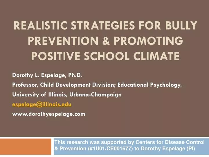 realistic strategies for bully prevention promoting positive school climate