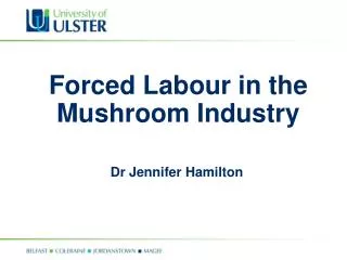 Forced Labour in the Mushroom Industry