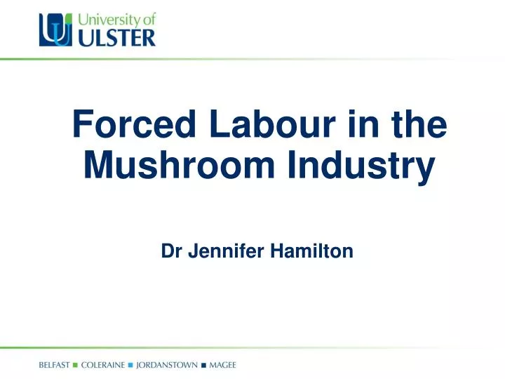 forced labour in the mushroom industry