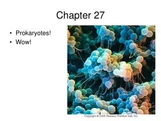 chapter 27