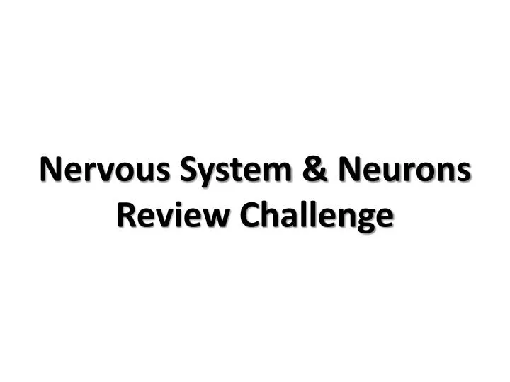 nervous system neurons review challenge