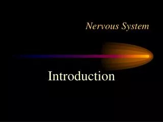 Nervous System