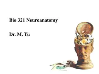 Bio 321 Neuroanatomy Dr. M. Yu