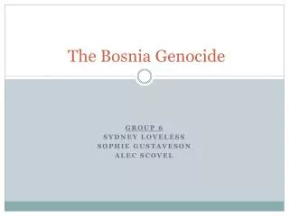 The Bosnia Genocide