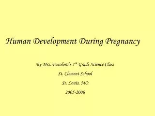 Human Development During Pregnancy